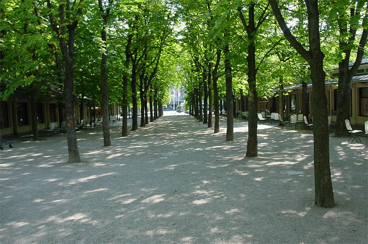 dsc00855.jpg