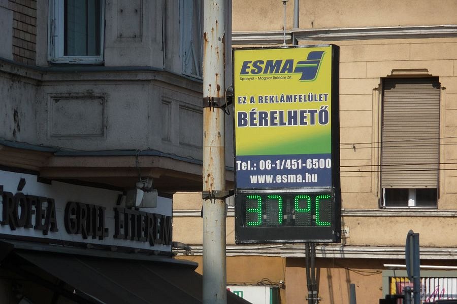P1010134.JPG