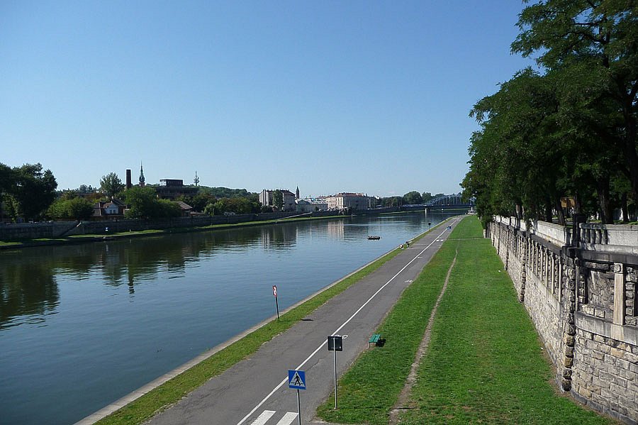 P1000269.jpg