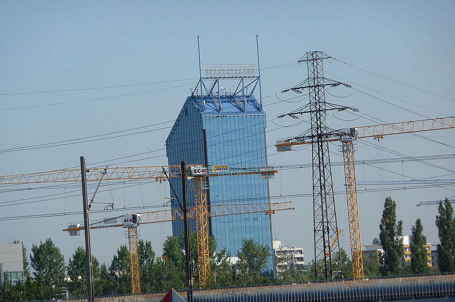 P1000278.jpg