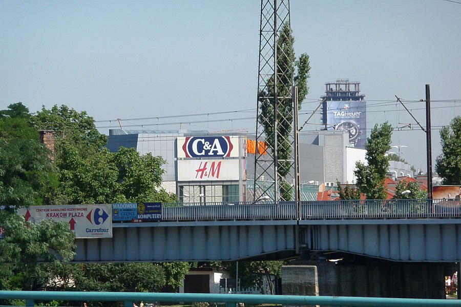 P1000279.jpg