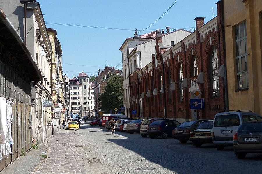 P1000294.jpg