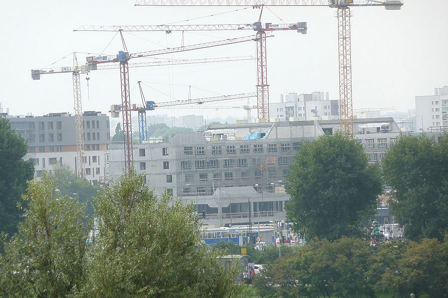 P1000029.jpg