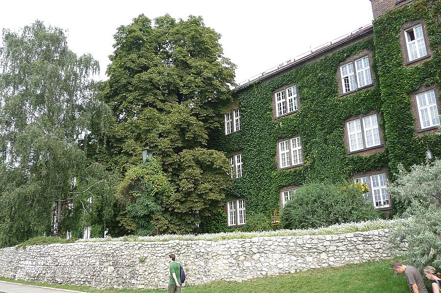 P1000030.jpg