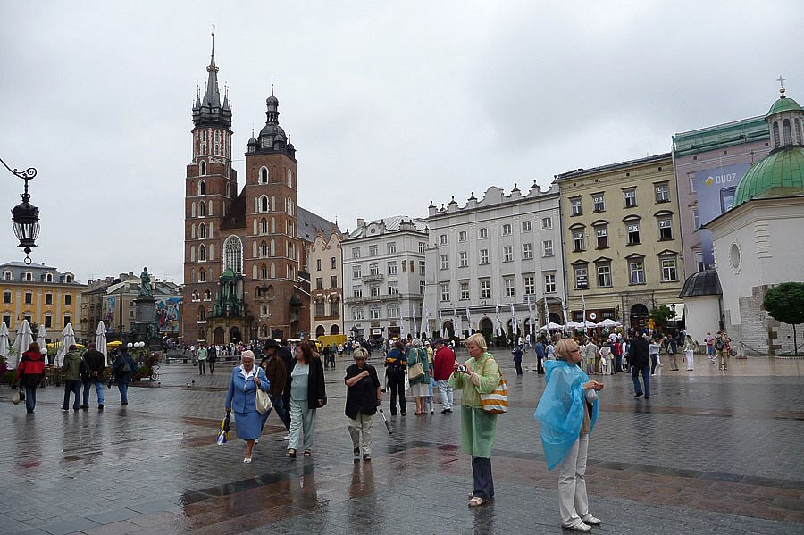 P1000064.jpg