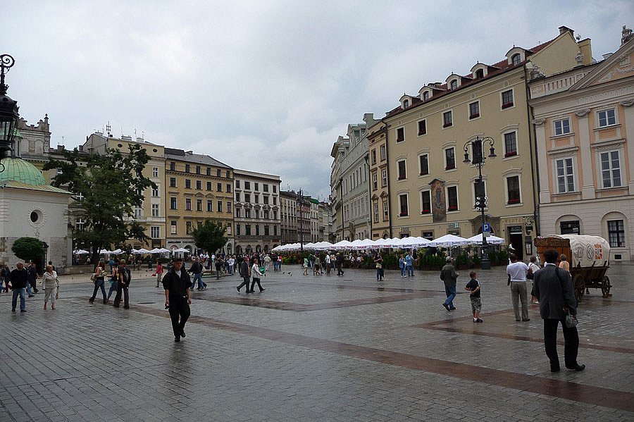 P1000078.jpg