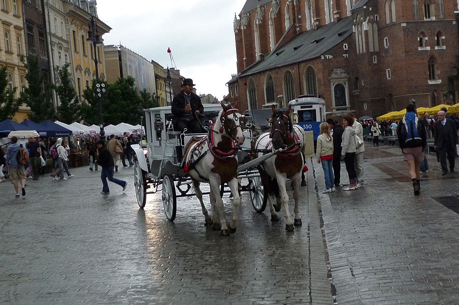 P1000079.jpg