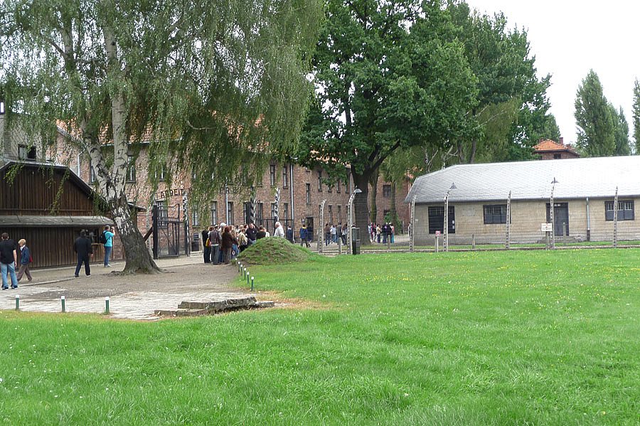 P1000083.jpg