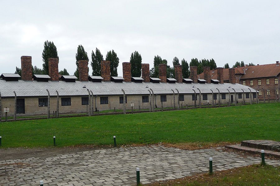 P1000085.jpg