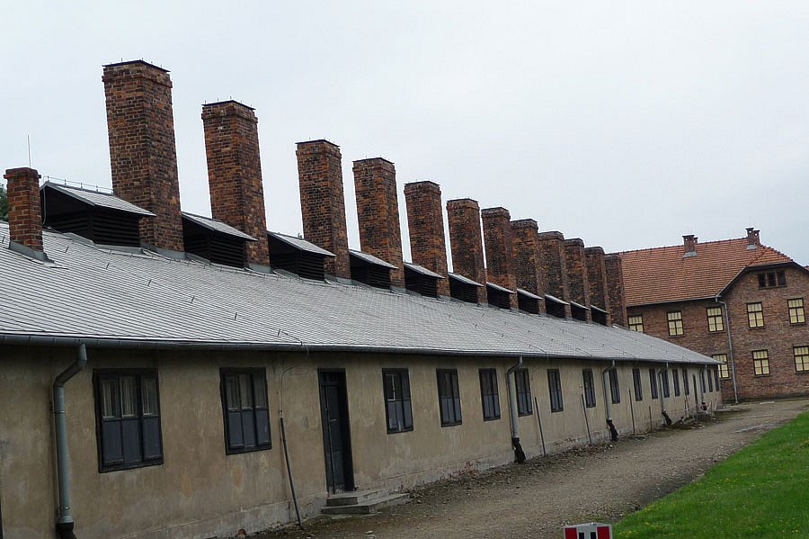 P1000089.jpg