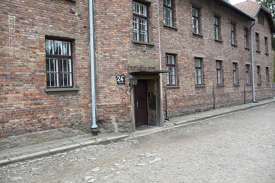 P1000090.jpg