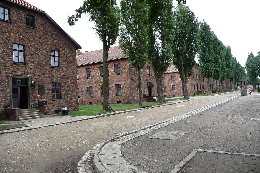P1000092.jpg