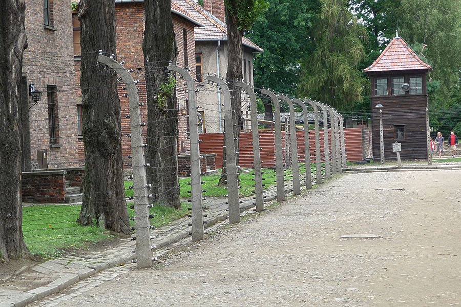 P1000093.jpg