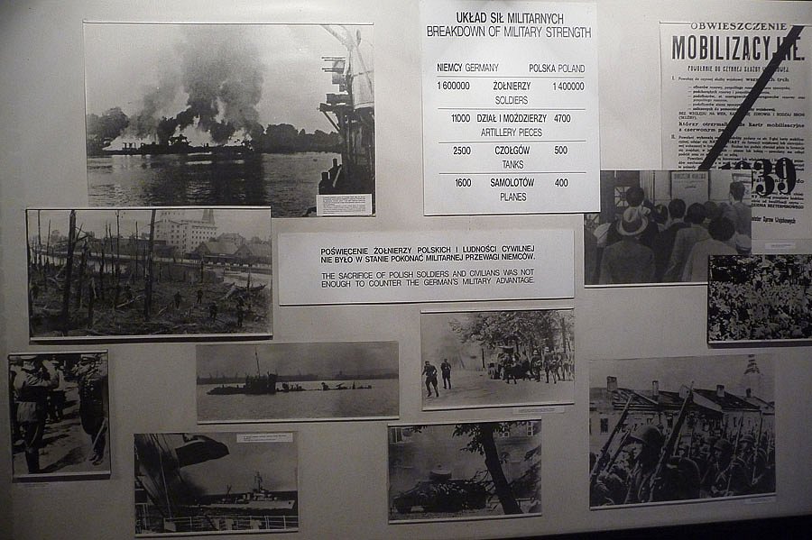 P1000095.jpg