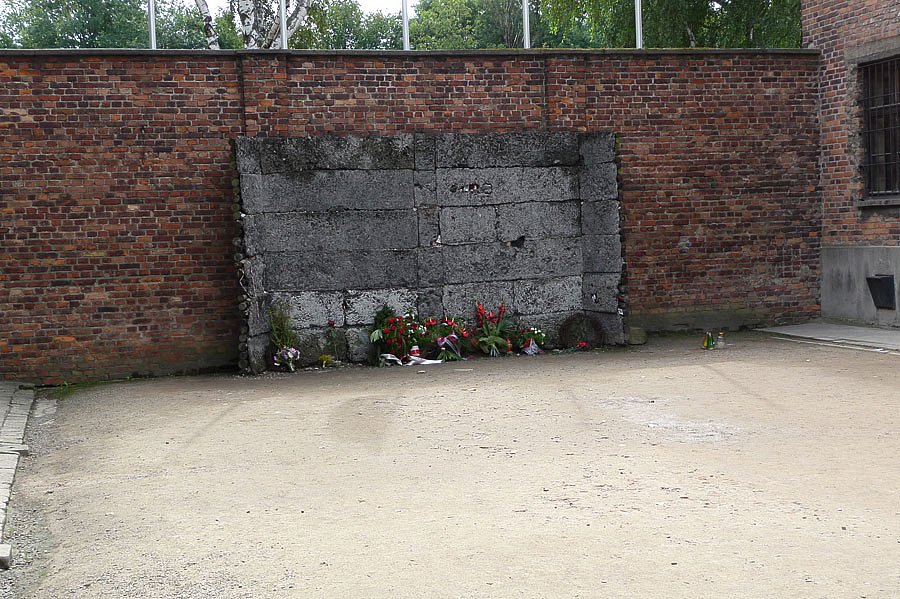 P1000106.jpg