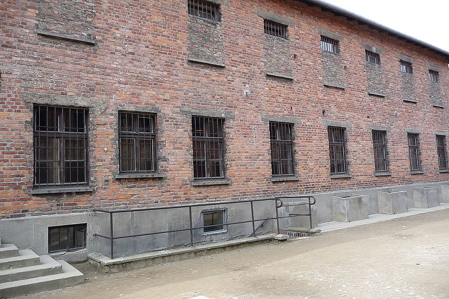P1000107.jpg