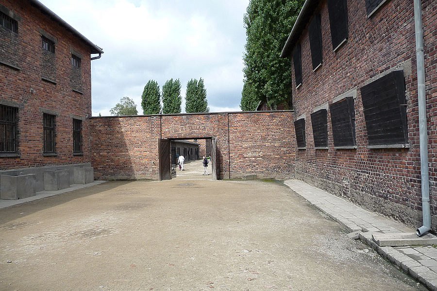 P1000108.jpg