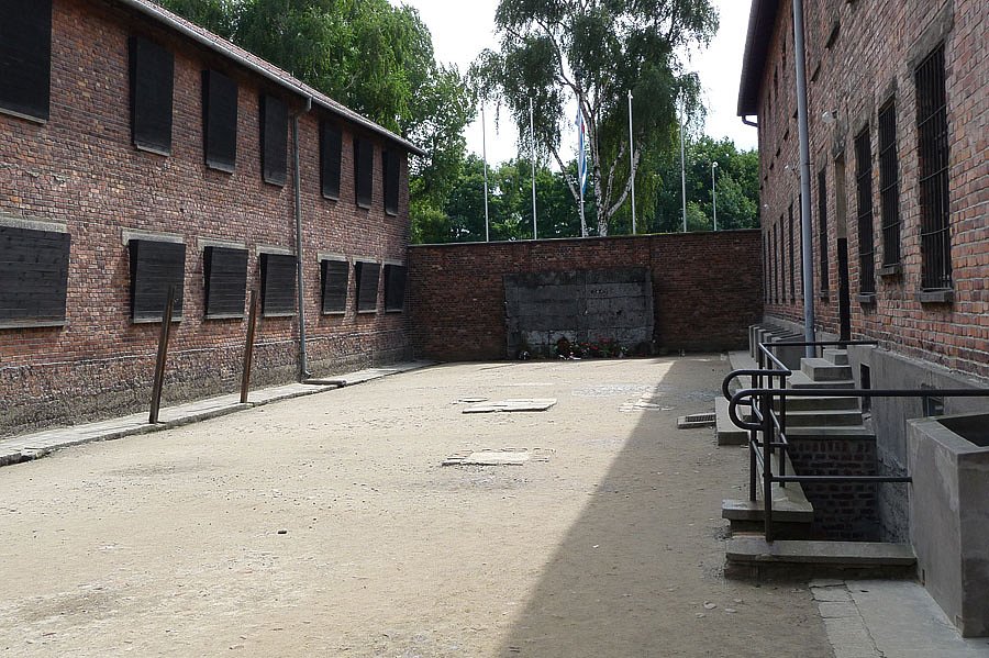 P1000110.jpg