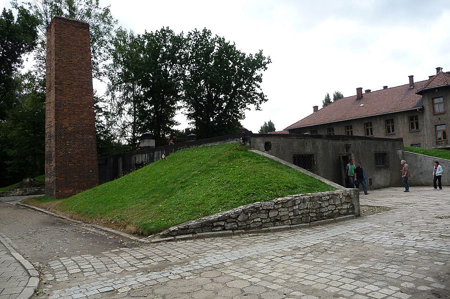 P1000127.jpg