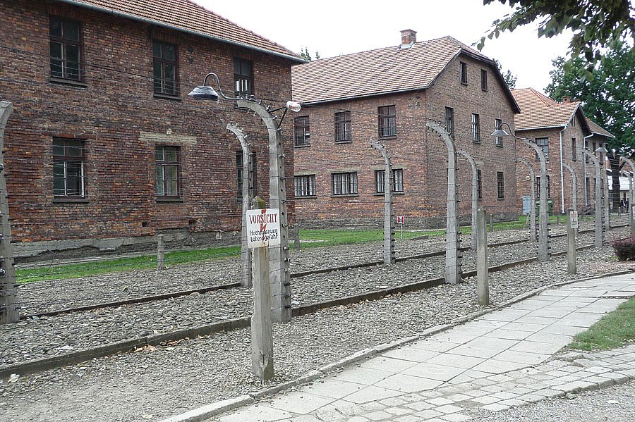 P1000128.jpg