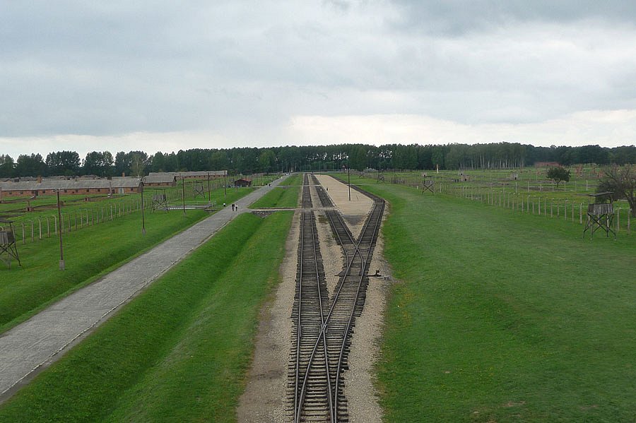 P1000132.jpg
