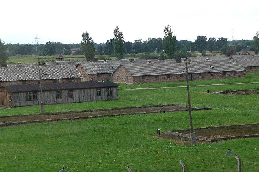 P1000133.jpg