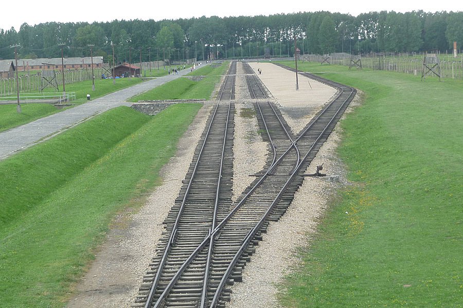 P1000134.jpg