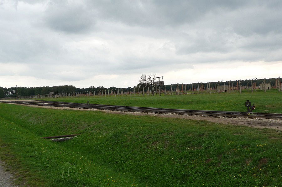 P1000136.jpg