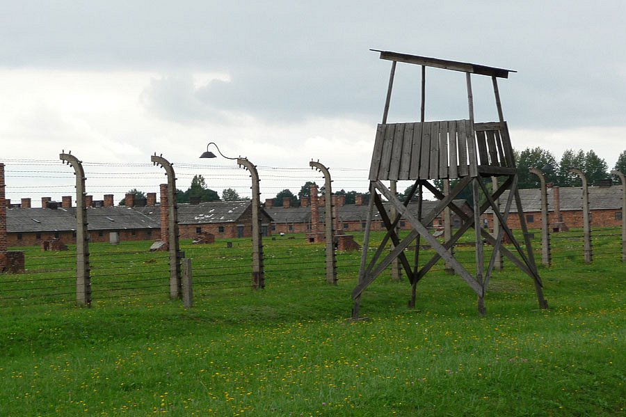 P1000137.jpg