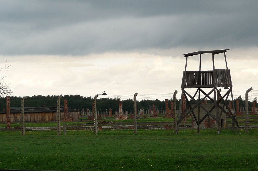 P1000138.jpg