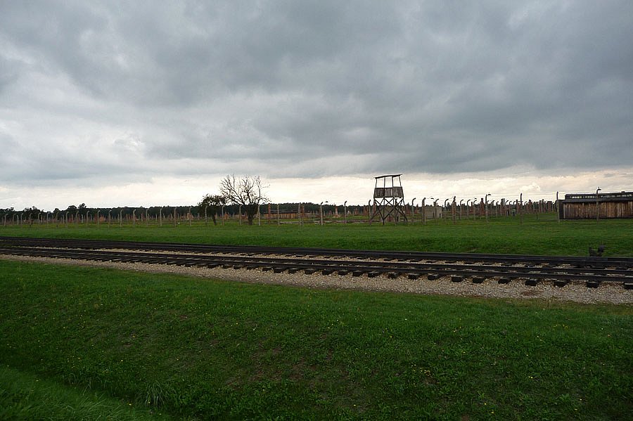 P1000139.jpg
