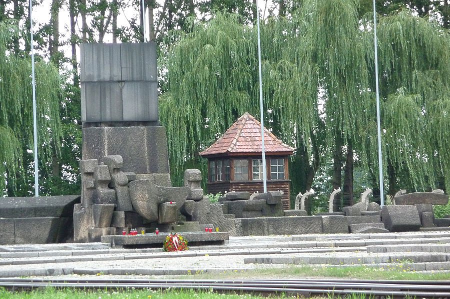 P1000145.jpg