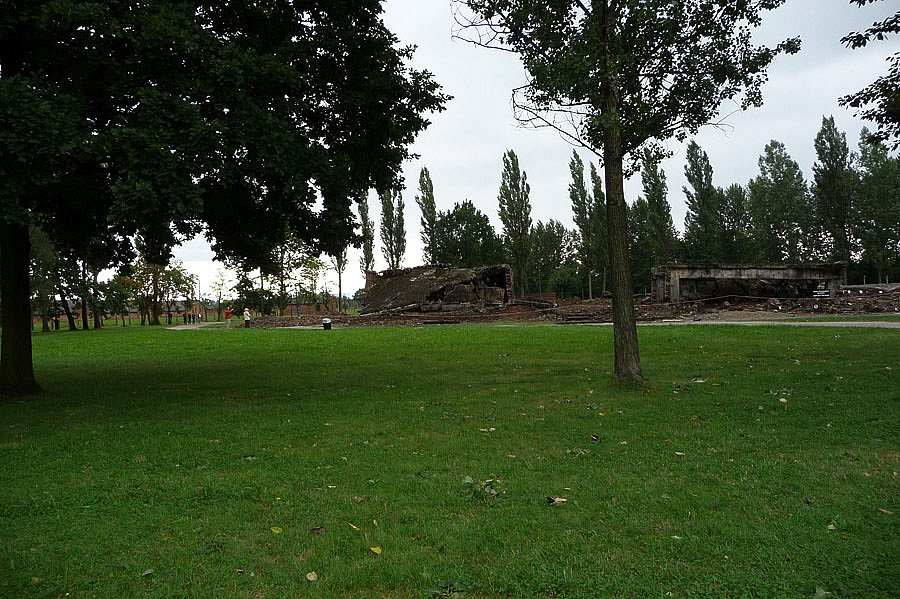 P1000147.jpg