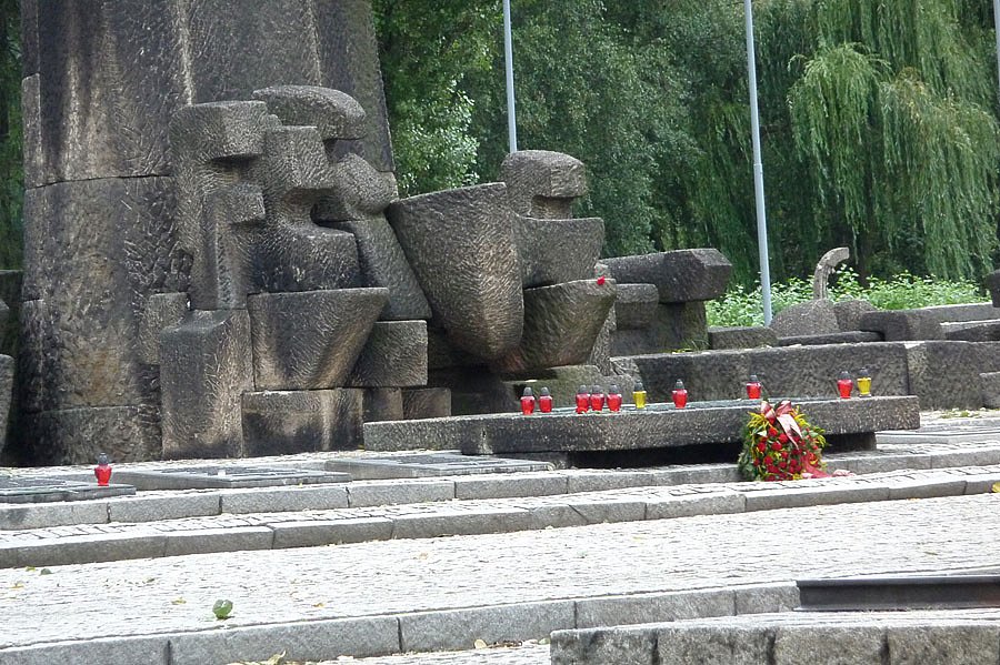 P1000154.jpg