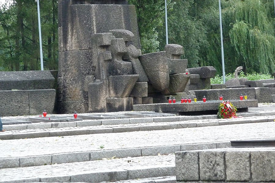 P1000155.jpg
