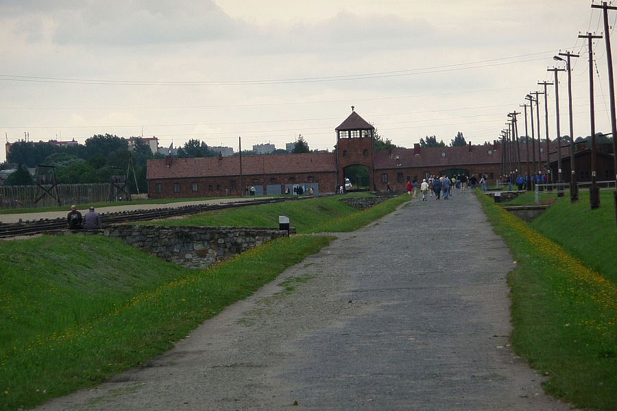 P1000158.jpg