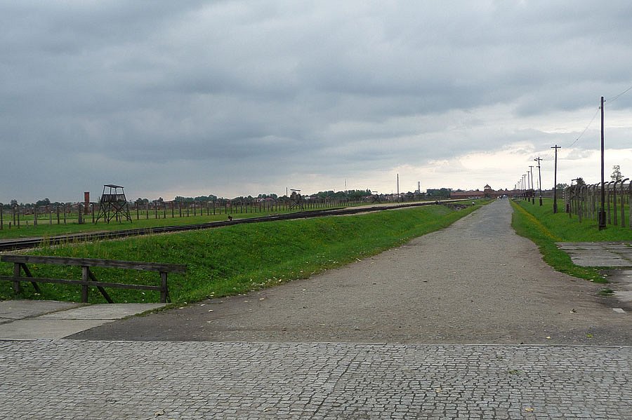 P1000159.jpg
