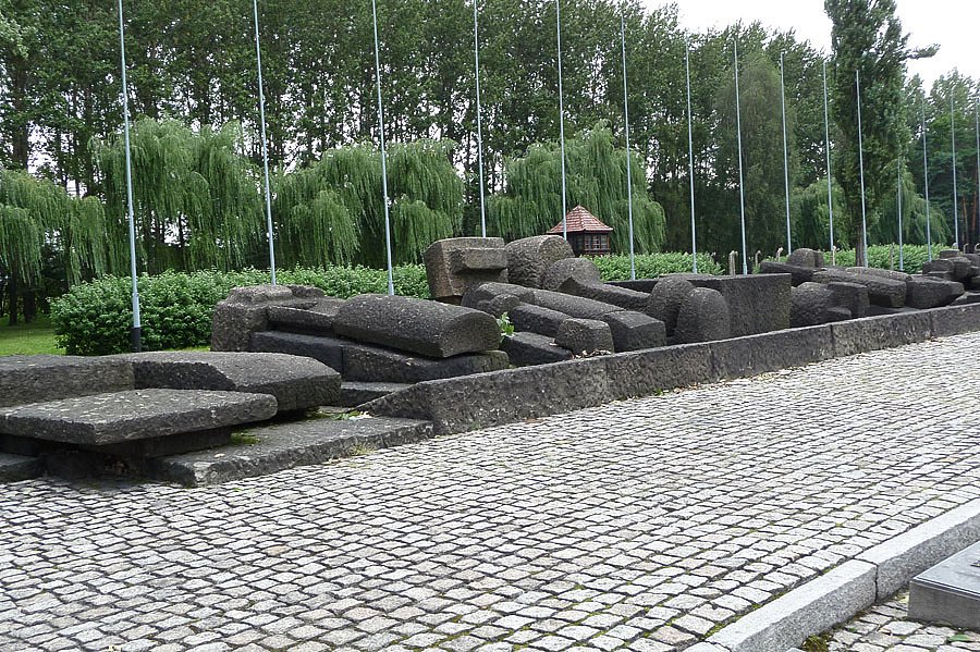 P1000162.jpg