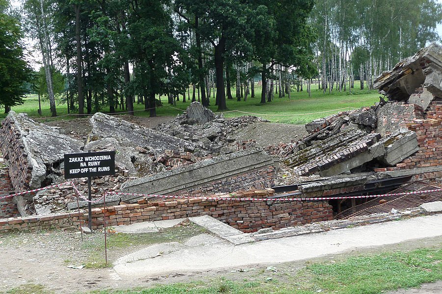 P1000166.jpg