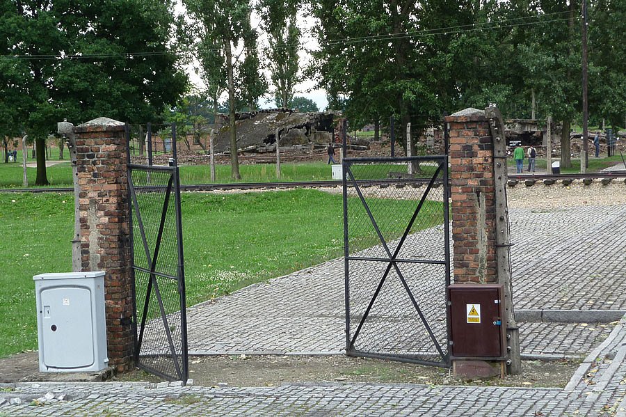 P1000170.jpg