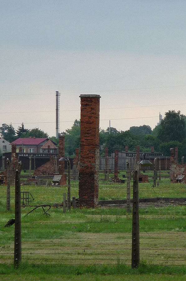 P1000171.jpg
