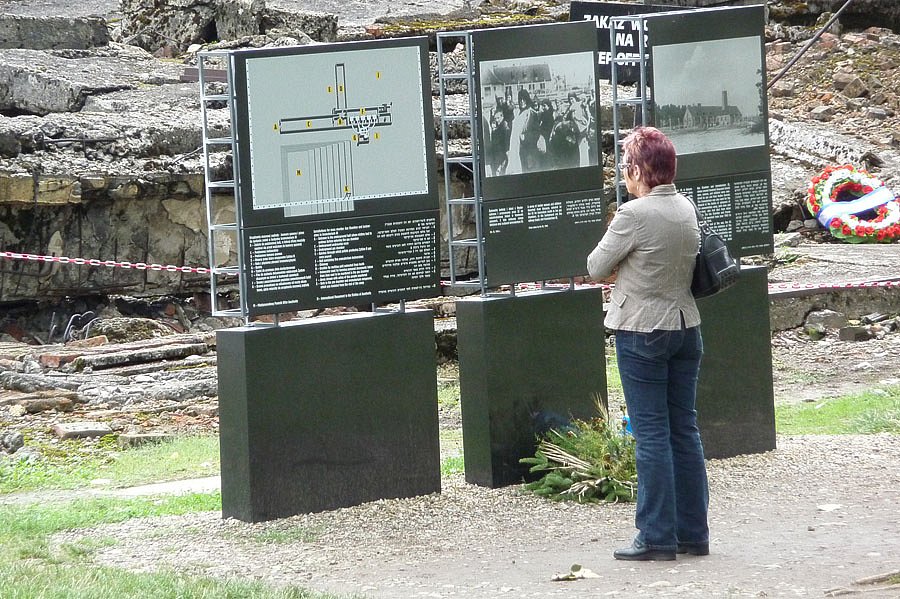 P1000175.jpg