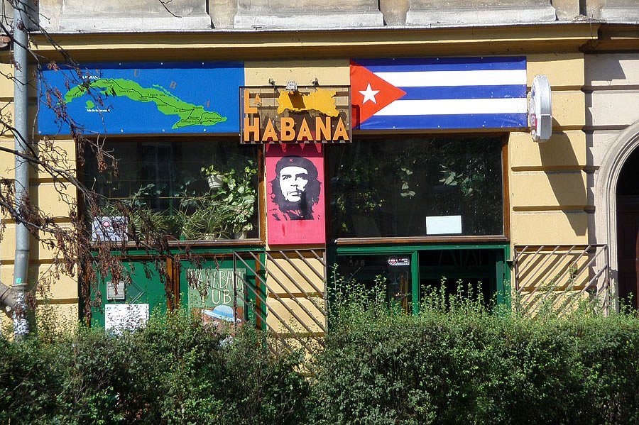 P1000177.jpg