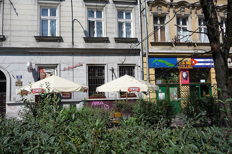 P1000181.jpg