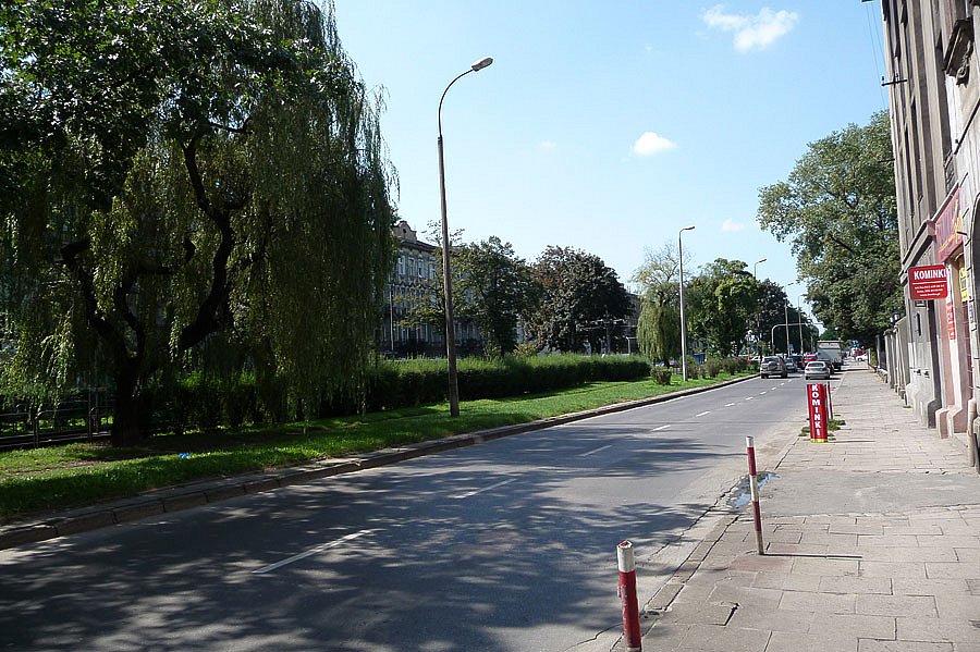 P1000187.jpg