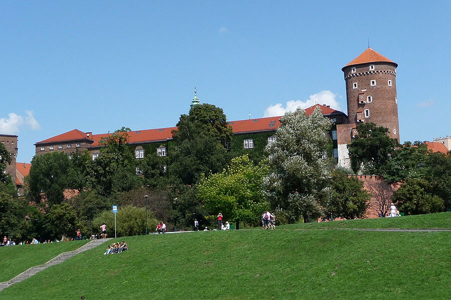 P1000195.jpg