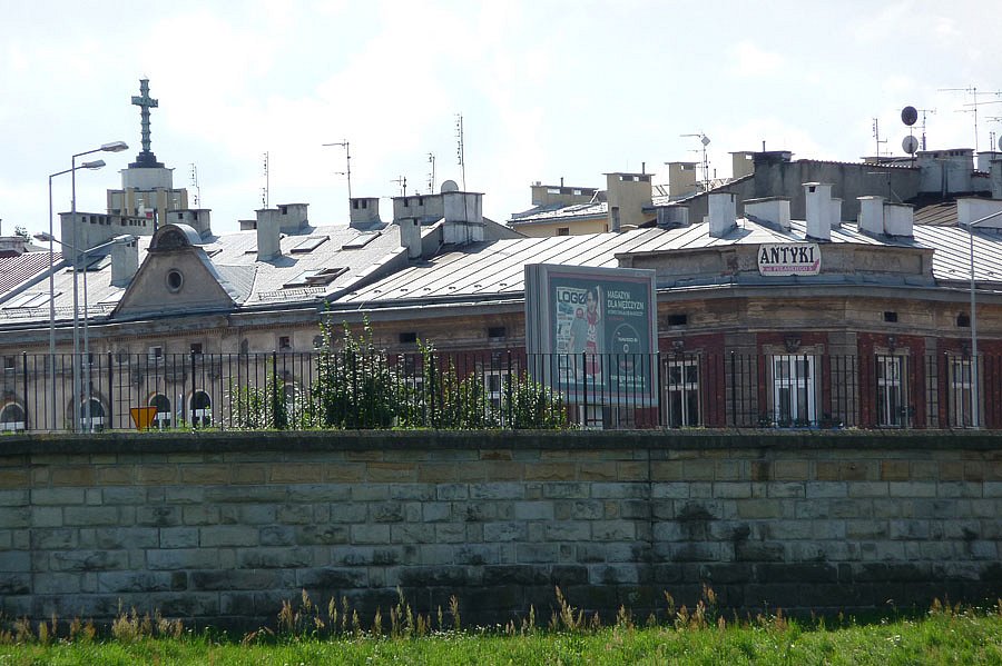 P1000201.jpg