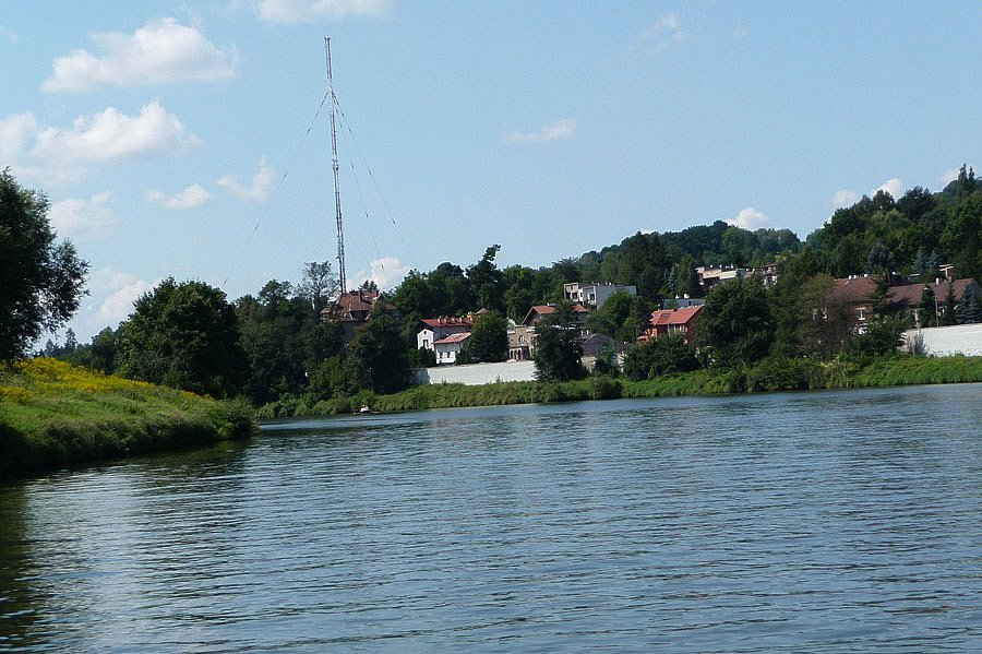 P1000207.jpg