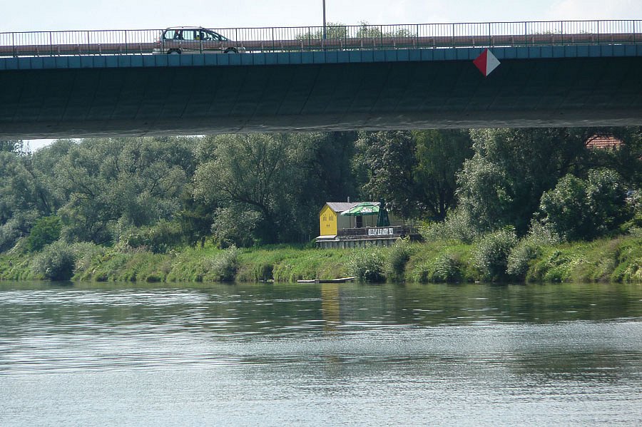 P1000208.jpg