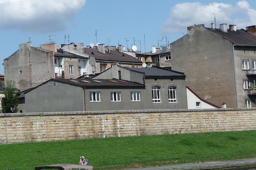 P1000216.jpg